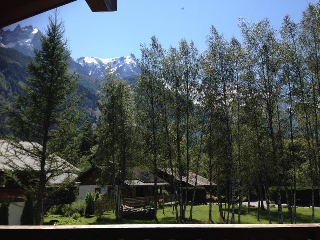 Two-Bedroom Chalet