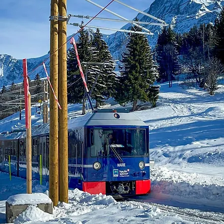 Chalet Les Frenes-2